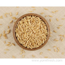 Oat Rice 25KG